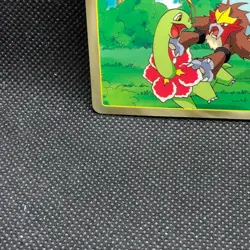 Entei No.244 TOP Pokemon Card Very Rare Nintendo TopSun japanese Japan F/S - Image 2