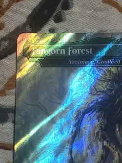 1x MTG Fangorn Forest - Yavimaya, Cradle of Growth (Surge Foil) - (LTC) #407 - Image 2