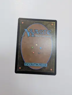 MTG - Stirring Wildwood 0039 (Borderless) - Edge of Eternities NM/M Condition - Image 4