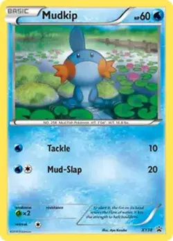Mudkip - XY38 - Pokemon XY Promo Holo Rare Card LP - Image 1