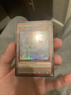 Yugioh! TCG - Mulcharmy Fuwalos - Prismatic Secret Rare - MP25-EN102 - Image 3