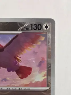 Pidgeot (Master Ball Pattern) 018/165 Sv2a: Pokemon Card 151 Holo (Japanese) NM - Image 3