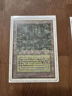 Bayou Unlimited Edition Heavy Play - Image 1