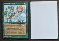 SIGNED MtG Magic Phil Foglio Artist Proof _ Spanish Ice Age _ FYNDHORN POLLEN _ - Image 1