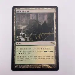 1xMTG Wooded Bastion-Shadowmoor-Japanese MP - Image 1