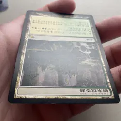 1xMTG Wooded Bastion-Shadowmoor-Japanese MP - Image 4