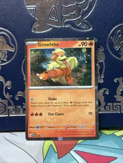 Growlithe SVP 024 Holographic Black Star Promo Pokemon TCG Near Mint - Image 1