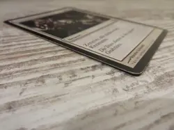 1x Mass Calcify - Shadowmoor - PL - German - OOP MTG - Image 3