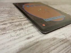 1x Mass Calcify - Shadowmoor - PL - German - OOP MTG - Image 5