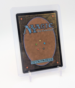 MTG - Spider-Punk - Borderless Rare Regular #210 - Spider-Man NM - Image 2