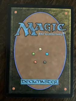 Prismatic Vista 244/254 Modern Horizons MTG NM Card - Image 2