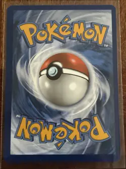 Wailord - Holo Rare - Journey Together JTG 041/159 Pokemon Card NM - Image 2