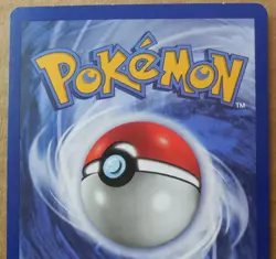 Spanish Wartortle 42/102 Uncommon Non-Holo Base Set Pokemon NM/LP - Image 5