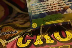 ONE PIECE TCG BONNEY P-085 Offline Regional FINALIST CARD 2025 Vol.2 - Image 5