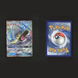 Raichu & Gyarados GX Promo Ultra Rare Collection Bundle Set 4 Pokemon Cards Lot - Image 4