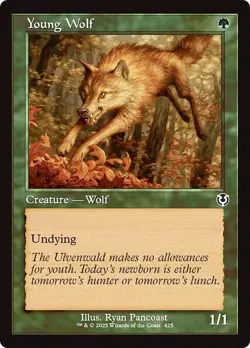 Retro YOUNG WOLF x4 mtg NM-M Innistrad Remastered 4 Common - Image 1