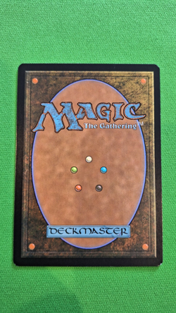 FOIL Blood Crypt - Zendikar Expeditions - Extremely Lightly Played LP - English - Image 5