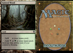 Magic the Gathering -MTG-Tainted Wood - Image 1
