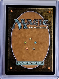2024 MTG Magic the Gathering PIP Fallout Extended Art Foil 528 Woodland Cemetery - Image 2