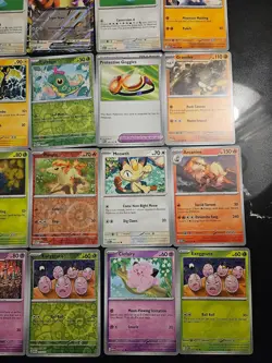Pokemon 25 Card Bulk Lot | 5 Holo + 20 Common - Authentic TCG Collection (51) - Image 5