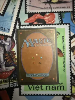 Drought Ice Age Regular - Image 3