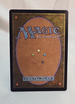 Dragonhawk, Fate's Tempest Borderless BLB MTG Near Mint NM Fast Shipping - Image 2