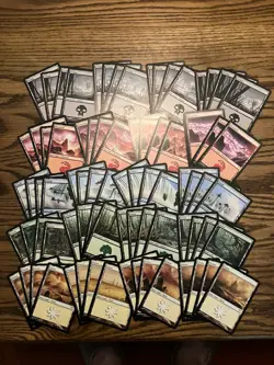 Champions Of Kamigawa Basic Land Lot x80 Magic the Gathering 4x Each Art LP - Image 1