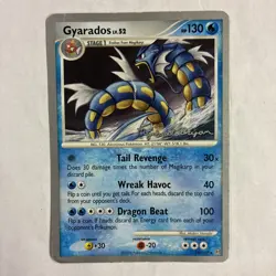 Gyarados & Magikarp 2010 Mychael Bryan 19/100 & 65/100 Pokemon TCG Cards LP - Image 3