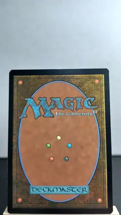 Adventurer's Inn Non-Foil Land Common [NM] - MTG FIN - Image 2