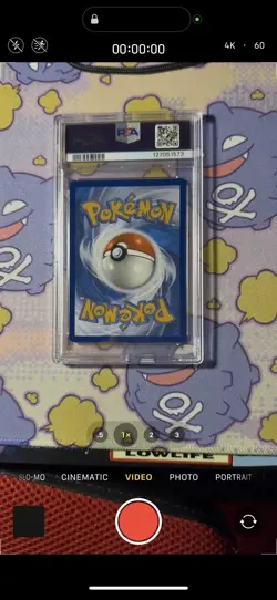 Pokemon Kingdra EX TCG 131 Shrouded Fable Promo Special Illustration Mint PSA 9 - Image 2