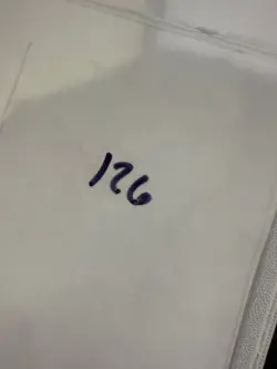 Magic The Gathering: Beta Throne of Bone MTG Beta - Image 3