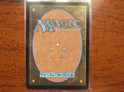 Innkeeper's Talent - Bloomburrow - MTG Magic the Gathering - Image 2