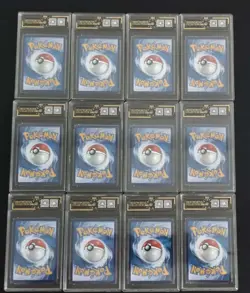 12 Lot [OCD 10] Pokemon Tcg Chinese Card AR Art Rare CHR Arctibax Frigibax SQ A2 - Image 2