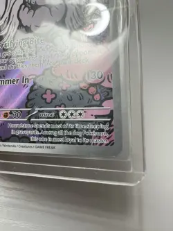 2025 Pokemon Houndstone 145/142 Illustration Holo- Mega Evolution (B) - Image 5