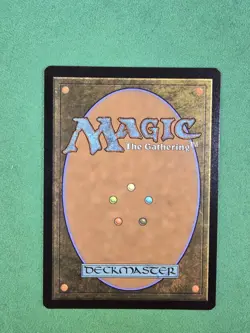 MTG Plains (0367) (Borderless) (Galaxy Foil) L Edge of Eternities - Image 4