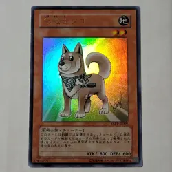 Yugioh Shiba Warrior Taro YAP1-JP009 Japanese Ocg Ultra LP - Image 1