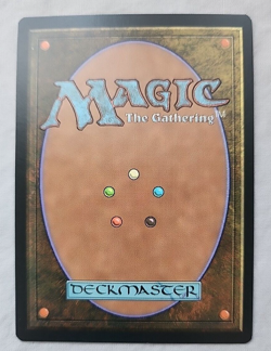 Paradigm Shift Weatherlight Regular NM Near Mint - Image 2