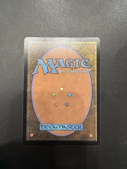 Shield-Wall Sentinel (238) Dominaria United DMU MTG Magic - Image 2