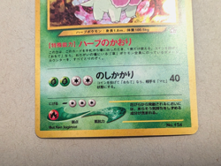 1999 Pokemon TCG Neo Genesis Premium File 1 Japanese Promo Folder Full Set LP-NM - Image 3