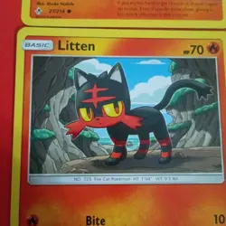 Litten Torracat pokemon cards Lot of 6 🐈 🔥 - Image 5