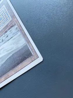 Tundra Revised Edition Regular - Image 4