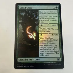Druid Class Foil - Image 1