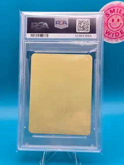 PSA 9 - 2023 Marumiya Pokemon, Garchomp, Stickers - Image 2