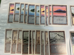 MTG REVISED Edition (1994) 50 BASIC LAND cards LOT - Magic the Gathering - Image 2