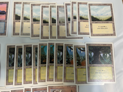 MTG REVISED Edition (1994) 50 BASIC LAND cards LOT - Magic the Gathering - Image 3