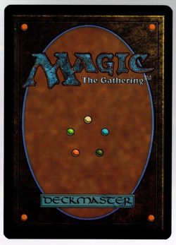 Swamp 237/244 Non Foil Borderless Land Unfinity Magic The Gathering NM - Image 2