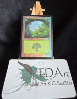 FOREST - NM/M ~ MTG - CMM Commander Masters 451 - Retro Frame FOIL - Image 1