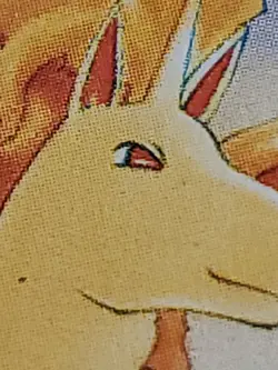Pokemon TCG | Rapidash 44/64 | Jungle 1st Edition | LP - Image 4