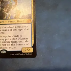 MTG Kinnan, Bonder Prodigy Ikoria: Lair of Behemoths Regular 192/274 (2020) - Image 2