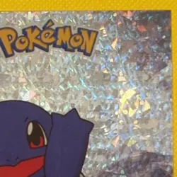 Squirtle & Wartortle - Cracked Ice Holo - Crystal Dark Black 2025 - Pokemon Card - Image 5
